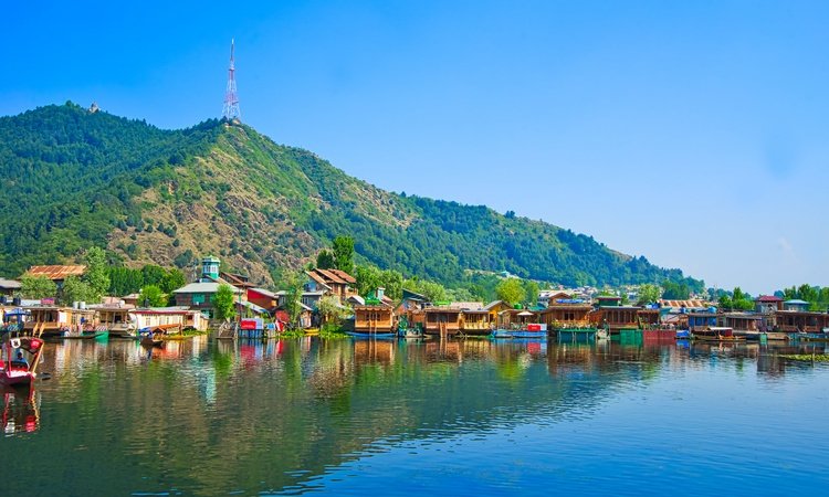 DalLake