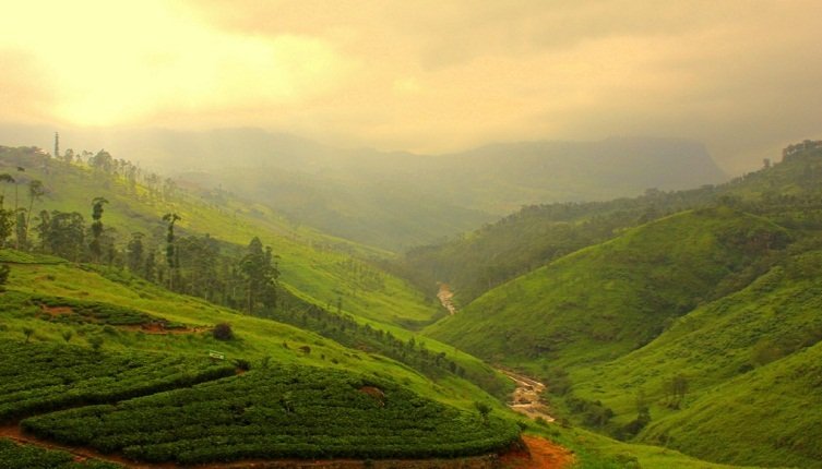 Nuwara_Eliya