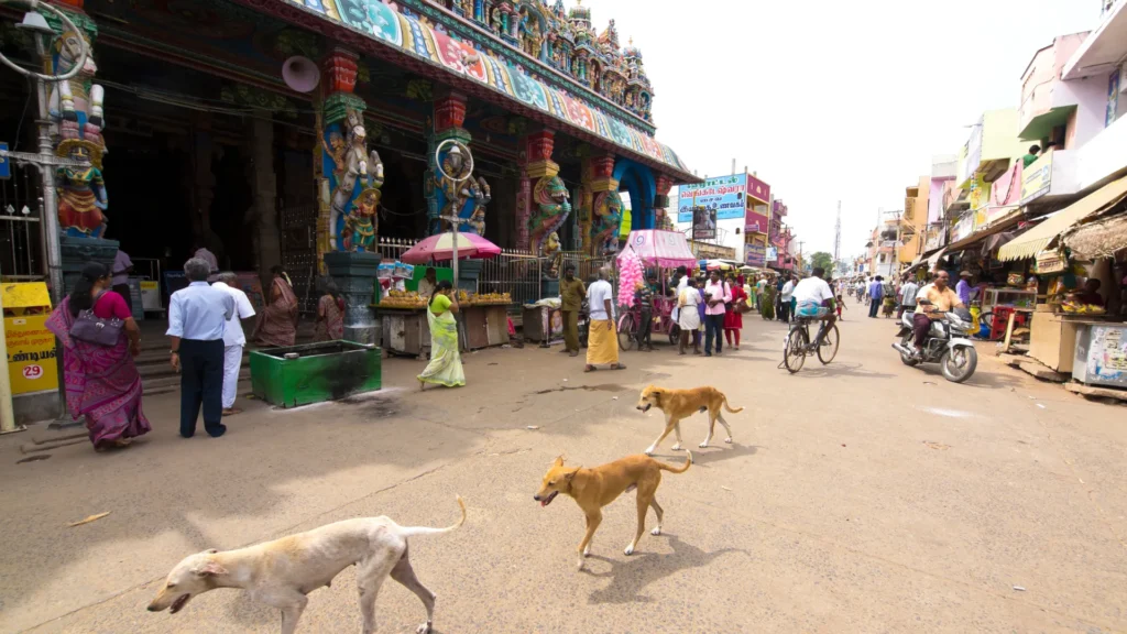 murugan 1